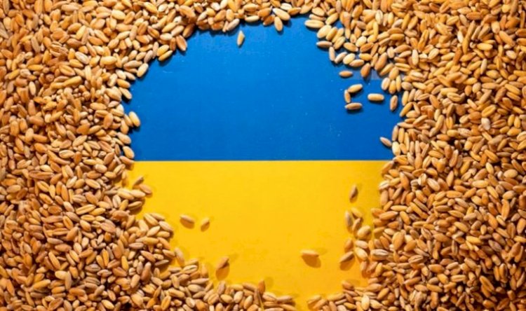 Ukrayna ve Rusya tahıl için mi savaşıyor?