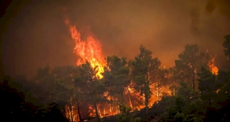Yunanistan'da orman yangınları: Rodos'ta binlerce kişi tahliye edildi