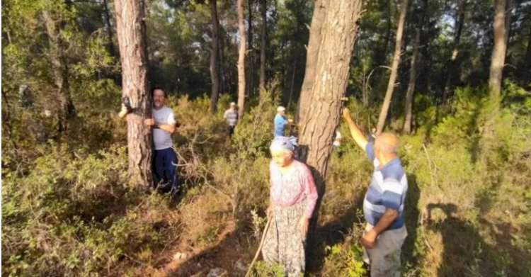 Akbelen Ormanı: Kesimin üçüncü gününde köylüler alana girdi, jandarma müdahale etti