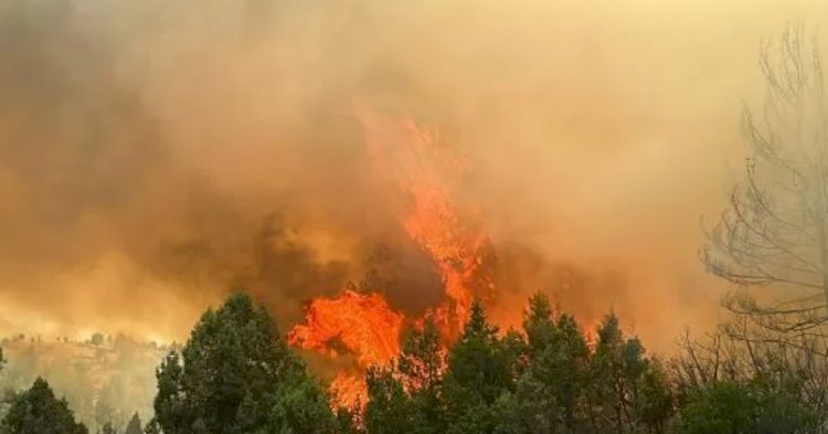 Türkiye'de orman yangınları: Kemer, Bolu ve Sultangazi'de yangınlar devam ediyor