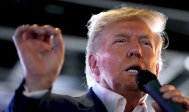 Trump seçim hilesi iddialarıyla ilgili basın toplantısını iptal etti