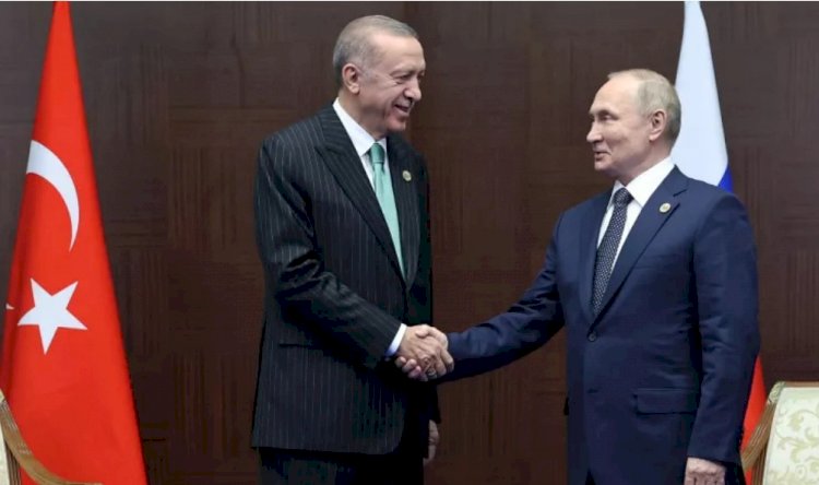 Putin, Erdoğan'dan tahıl ihracatı yapmak ve Batı yaptırımlarını fiilen aşmak için destek istedi
