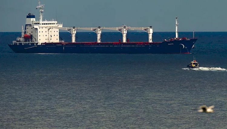 Ankara: Rus muhataplarımız, Türk şirketine ait gemiye müdahaleyle ilgili ikaz edilmiştir