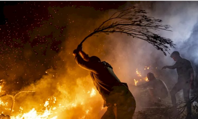 Cumhurbaşkanı Erdoğan: Çanakkale'deki orman yangınının yayılması durduruldu