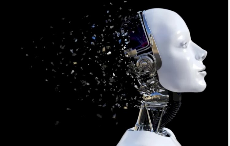 İnsansı robotların çoğu neden kadın?