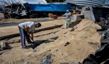 Ukraine’s neighbors offer routes for grain exports