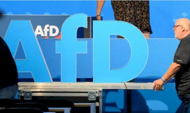 Anket: AfD yüzde 22'lik oy oranını korudu
