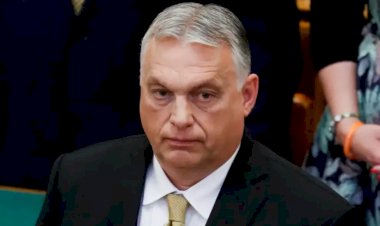 Orban'dan İsveç ve Ukrayna'ya kırmızı ışık