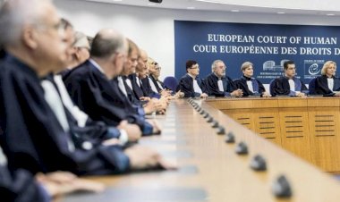 AİHM Yalçınkaya kararı ve sonuçları