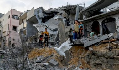 Ailesiyle Gazze'nin güneyine geçen BBC muhabiri: 'Bir ölümden diğerine doğru kaçıyoruz'