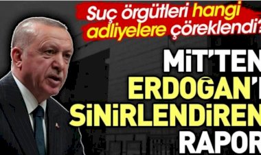 MİT'ten Erdoğan'ı sinirlendiren rapor. Suç örgütleri hangi adliyelere çöreklendi?