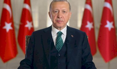 Tolga Şardan: MİT'in Cumhurbaşkanlığı'na sunduğu "yargı raporu"nda neler var?