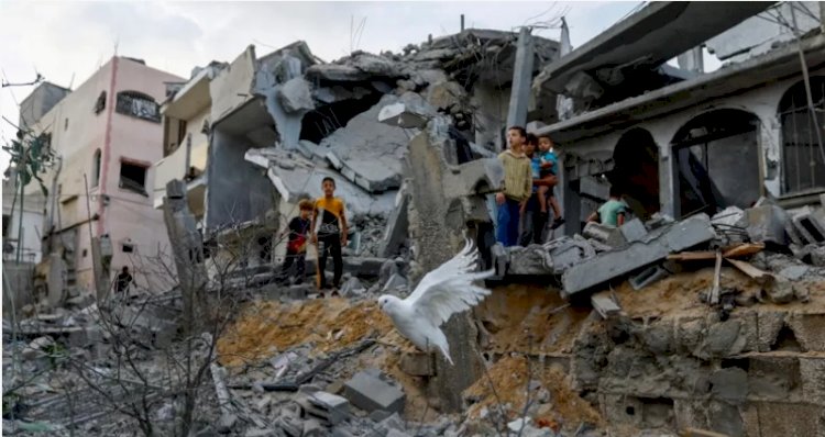 Ailesiyle Gazze'nin güneyine geçen BBC muhabiri: 'Bir ölümden diğerine doğru kaçıyoruz'