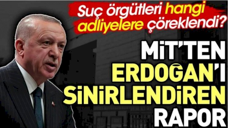 MİT'ten Erdoğan'ı sinirlendiren rapor. Suç örgütleri hangi adliyelere çöreklendi?