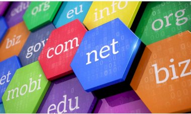 Doktor, Psikolog ve akademisyenlere com ve com.tr domain!
