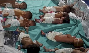 Dünyanın gündemineki Şifa Hastanesi neden kuşatma altında? Hamas hastanede gizleniyor mu?