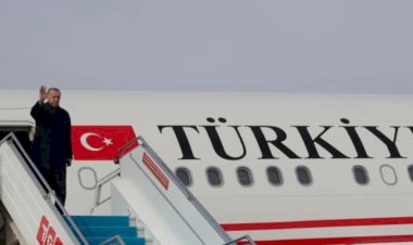 Erdoğan Cezayir'e gitti