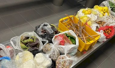 Türkiye'den getirilen yiyecekler Alman gümrüğüne takıldı