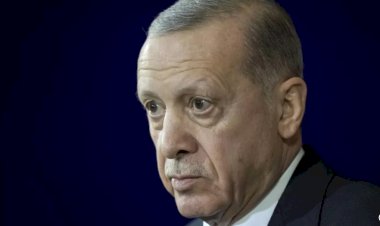 Türkiye'den Rusya'ya dolaylı ihracatın artması, Batı'da 'yaptırımlar deliniyor' endişesi yarattı