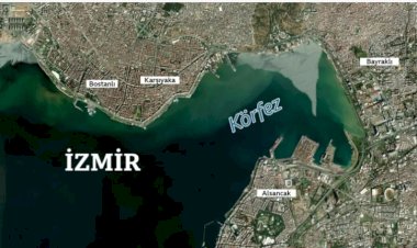 Türkiye'de neden deniz taşıyor? Denizi doldurmak felakete mi yol açıyor?
