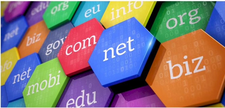 Doktor, Psikolog ve akademisyenlere com ve com.tr domain!