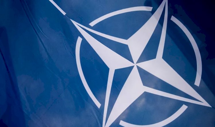 NATO, Soğuk Savaş döneminin Avrupa Konvansiyonel Silahlı Kuvvetler Antlaşması'nı askıya aldı
