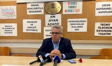 AP Türkiye Raportörü: “İnsan hakları AYM’nin koruması altında olmalı”