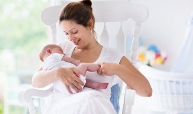 Ek Gıda Geçişi ve Aşılar Hakkında Bilgi İstirhamı