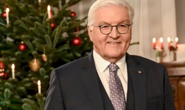 Steinmeier'den demokrasiye sırt çevirmeyin çağrısı
