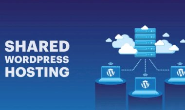 Unveiling Shared Hosting: The Perfect Solution for Every Website's Launch and Growth