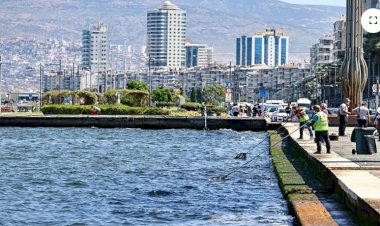 Bilim İnsanları Araştırıyor: İzmir Körfezi'nde Tsunami Riski