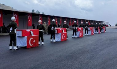 Evlatlarımız siyasetçiler için şehit düşmedi