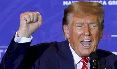 New Hampshire’da son anketlerde Trump önde
