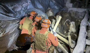 Kırgızistan-Çin sınırında yaşanan 7,1 büyüklüğündeki deprem sonrası kurtarma çalışmaları sürüyor