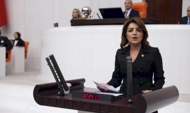 GÜLCAN KIŞ’TAN NÜKLEER SANTRAL ÇAĞRISI