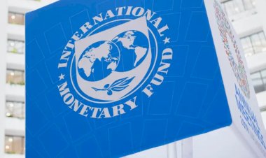 IMF küresel ekonomi için büyüme tahminini yükseltti