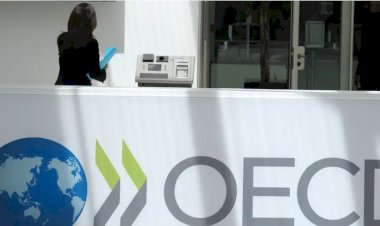 OECD: Vasıflı göçmenler Almanya'da ayrımcılıkla karşılaşıyor