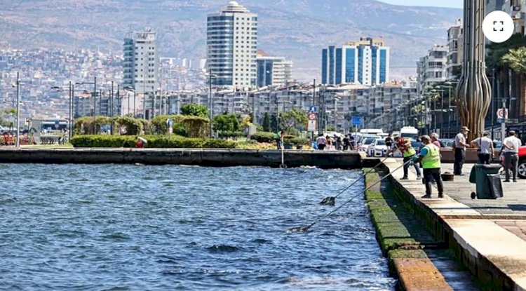 Bilim İnsanları Araştırıyor: İzmir Körfezi'nde Tsunami Riski