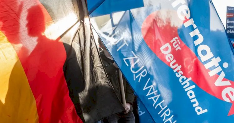 Aşırı sağcı AfD'ye üyelikte artış