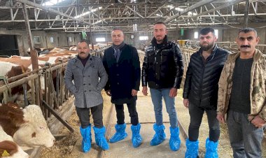 Süt üreticisi çiğ süt fiyatlarıyla ilgili uyardı: “Zarar ediyoruz inekler kesime gidiyor”