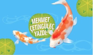 Borsada açgözlü büyükler, küçükleri nasıl kovdu?
