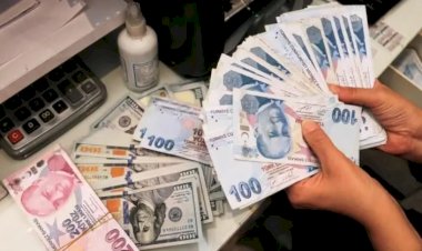 Dolar 31 lira ile rekor tazeledi