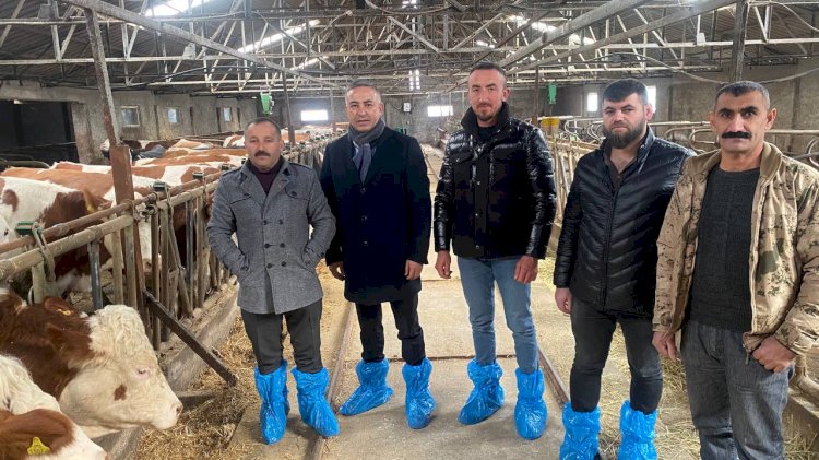 Süt üreticisi çiğ süt fiyatlarıyla ilgili uyardı: “Zarar ediyoruz inekler kesime gidiyor”
