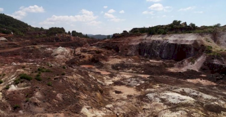 Türkiye'de altın madenciliği: 'Zeytin ve ayçiçeği, eskiden en yoğun olarak görüldüğü yerlerde artık yok'