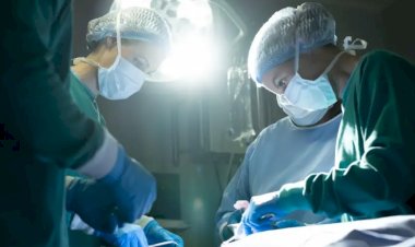 Almanya'daki Türk doktor sayısı 2 bin 600'ü geçti