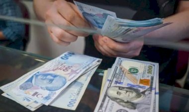 Dolar/TL 31,95'le rekor kırdı, Euro/TL ilk kez 35'i aştı