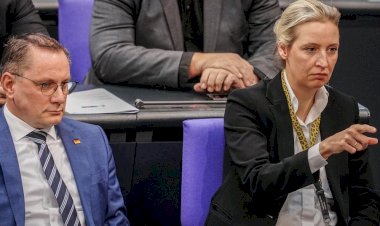 BR: AfD'nin 100'den fazla meclis çalışanı aşırı sağcı