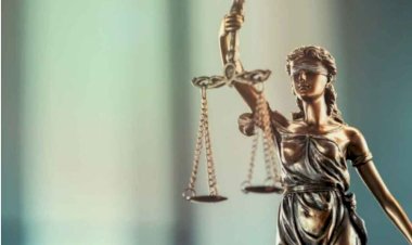 Emre Kongar: Böyle olur bizde adalet reformu