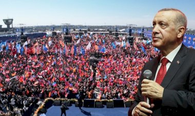 Yarı yarıya düşüş işaret mi?