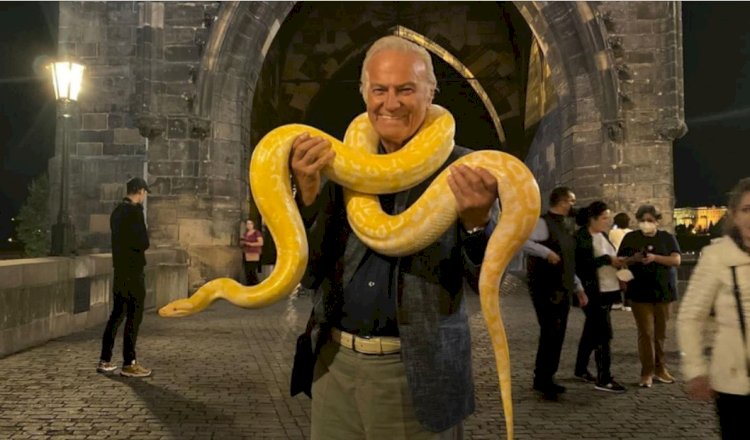 RÜYADA PİTON YILANI GÖRMEK